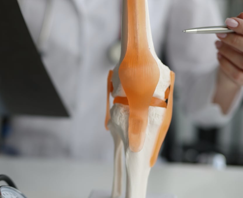 Pedagog&iacute;a del dolor articulaci&oacute;n